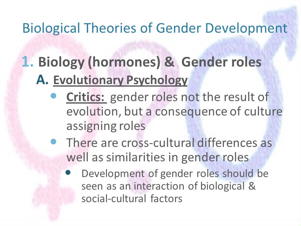 Gender roles biology or culture essay